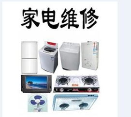 蒸的分类及其在日用家电零售中的应用